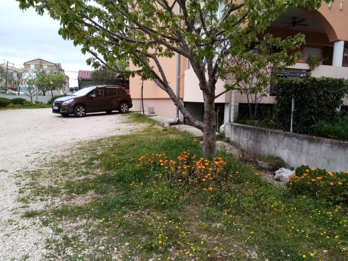 Apartments Vanja Skara Biograd Biograd Na Moru Eksteriør billede