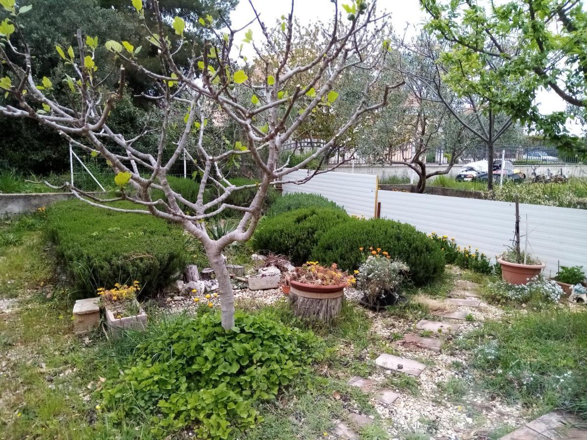Apartments Vanja Skara Biograd Biograd Na Moru Eksteriør billede